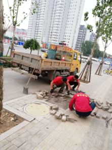 市政工程管理中心強(qiáng)化設(shè)施維修，全力保障道路暢通與設(shè)施完善